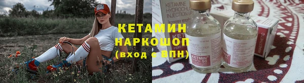 сатива Осинники