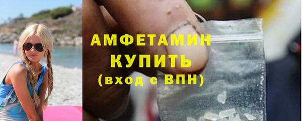 гидра Пересвет