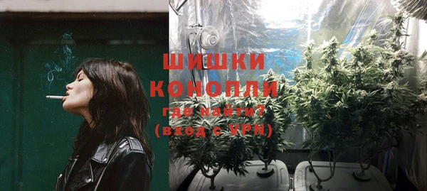 тгк Осташков
