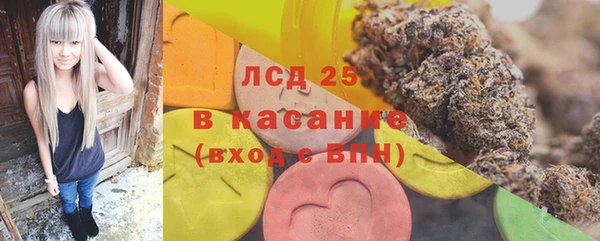 гидра Пересвет